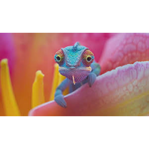 DTm 30 Поверхневий насос Насоси+ DTm 30 Поверхневий насос Насоси+