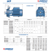 НАСОС ЦЕНТРОБЕЖНЫЙ PEDROLLO 2CPM 25/16C