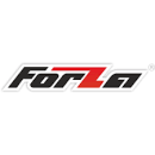 Forza FPG4500Е 3.0 кВт газ/бензин 100% Мідна обмотка (Безкотова Доставка)+редуктор