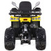 Квадроцикл SP200-10Е Квадроцикл SP200-10Е