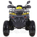 Квадроцикл SP200-10Е Квадроцикл SP200-10Е