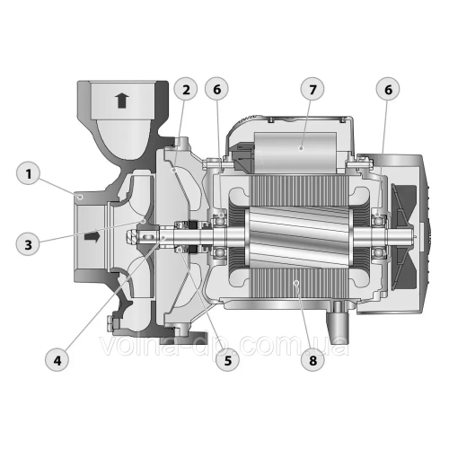 Відцентровий насос Pedrollo HFm 6B (оригінал) Відцентровий насос Pedrollo HFm 6B (оригінал)