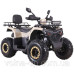 Квадроцикл SP200-10 Квадроцикл SP200-10