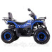Квадроцикл SP200-10 Квадроцикл SP200-10