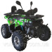 Квадроцикл SP125-13 Квадроцикл SP125-13