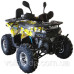 Квадроцикл SP125-13 Квадроцикл SP125-13