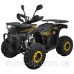 Квадроцикл SP125-12 Квадроцикл SP125-12