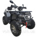 Квадроцикл SP200-11Е Квадроцикл SP200-11Е