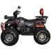 Квадроцикл SP125-13 (2026)