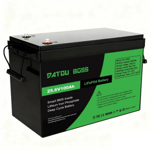 Акумулятор DATOUBOSS 24V 100Ah LiFePO4 с BMS 100A 2560Wh з глибоким циклом зарядки/розрядки BMS 100A