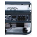 Forza FPG4500Е 3.0 кВт газ/бензин 100% Мідна обмотка (Безкотова Доставка)+редуктор Forza FPG4500Е 3.0 кВт газ/бензин 100% Мідна обмотка (Безкотова Доставка)+редуктор