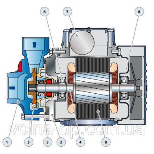 Насос вихровий PQm 60 Pedrollo