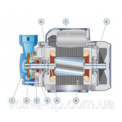 Насос вихровий PQm 80 Pedrollo Насос вихровий PQm 80 Pedrollo