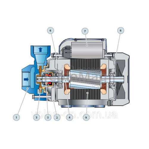 Насос вихровий Pedrollo PKm-60 (оригінал Італія) Насос вихровий Pedrollo PKm-60 (оригінал Італія)