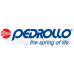 Електронний регулятор тиску Pedrollo EASYPRESS-1M